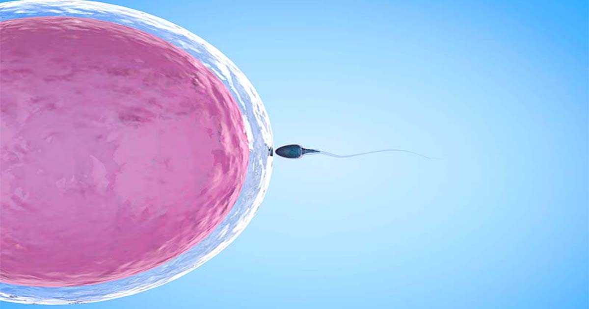 Quali rischi hanno la ICSI e la FIVET?